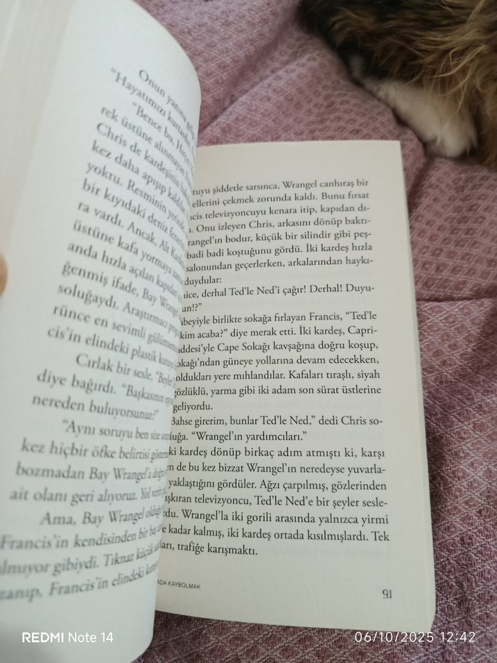 Haritada Kaybolmak - Vladimir Tumanov - Görsel 5