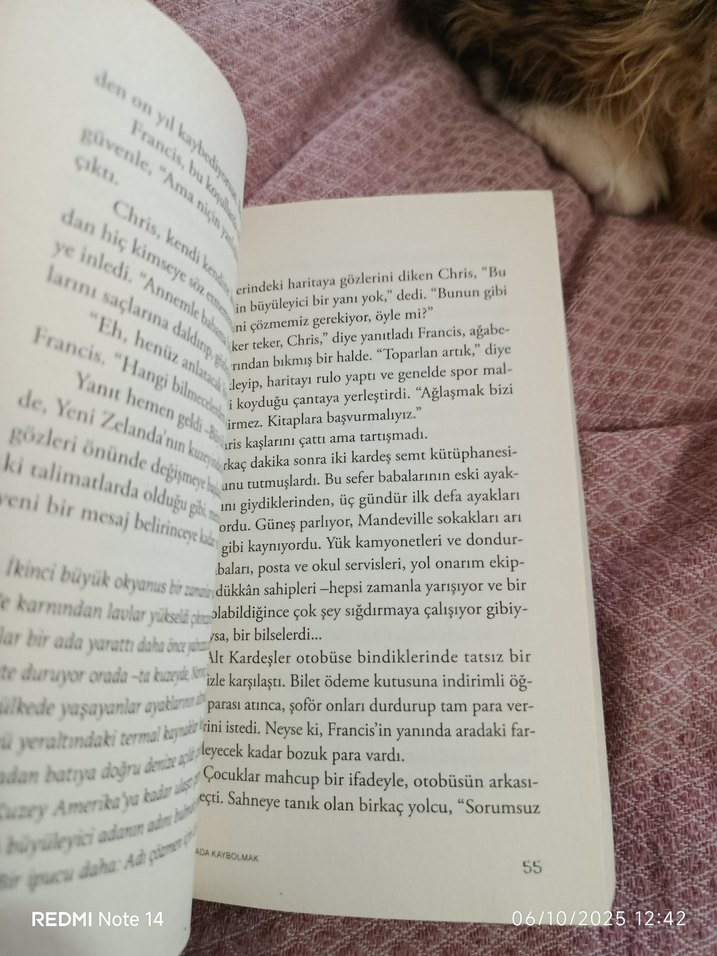 Haritada Kaybolmak - Vladimir Tumanov - Görsel 3