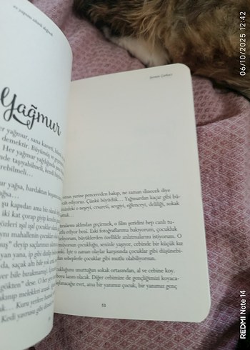  Beden Ev Yapımı Sihirli Değnek Kitabı