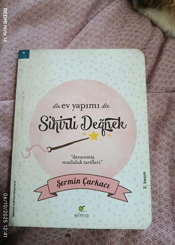  Ev Yapımı Sihirli Değnek Kitabı