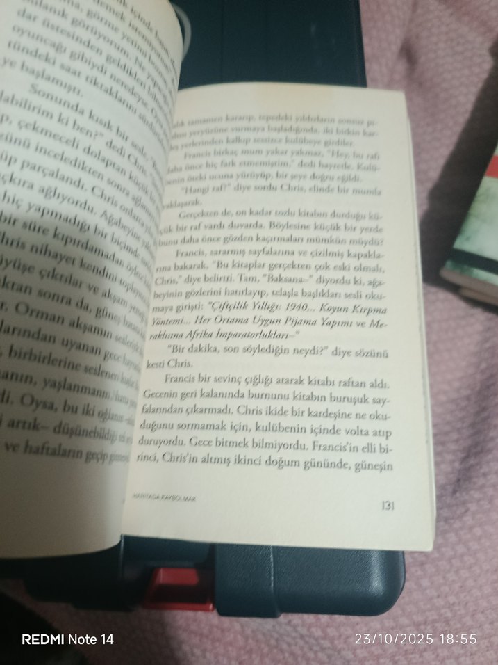 Haritada Kaybolmak - Vladimir Tumanov - Görsel 4