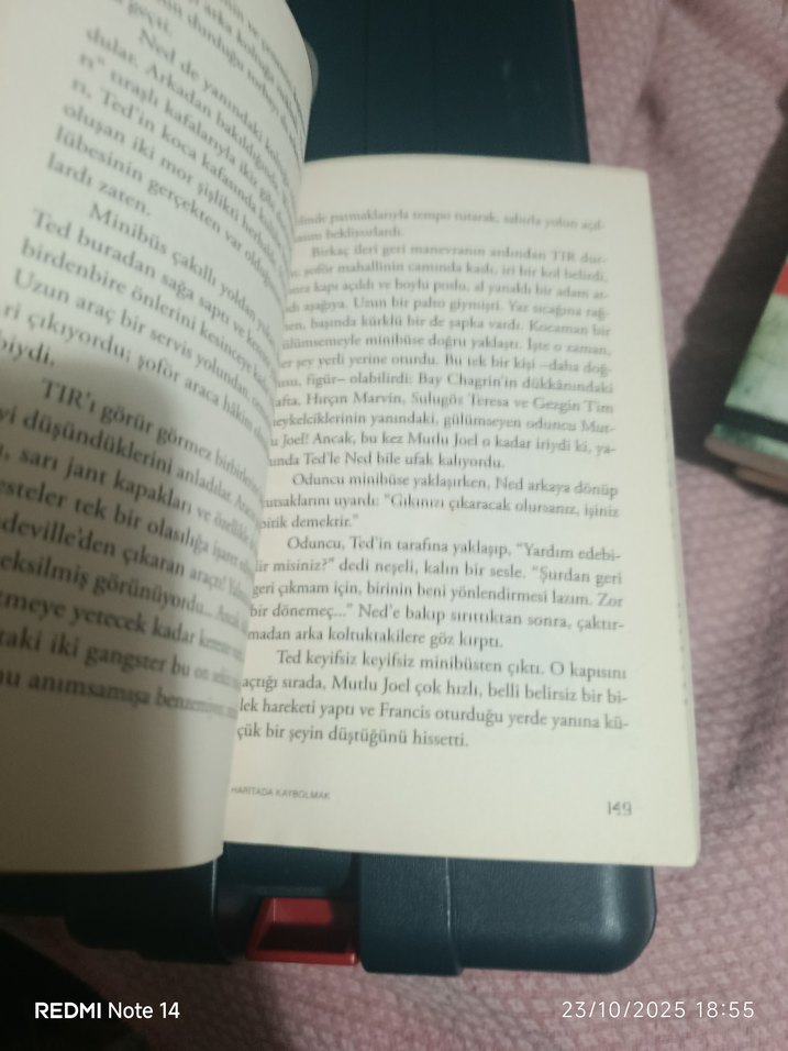 Haritada Kaybolmak - Vladimir Tumanov - Görsel 3