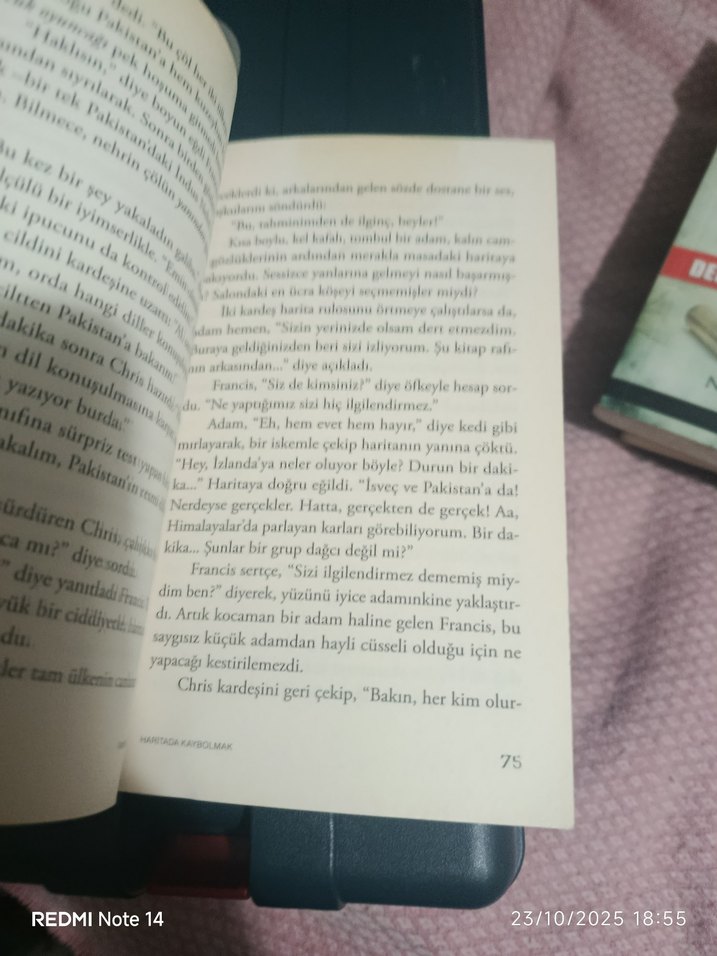 Haritada Kaybolmak - Vladimir Tumanov - Görsel 5