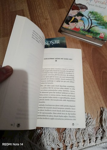 Ben Pamuk! - Kedilere Dair Her Şey - Görsel 4