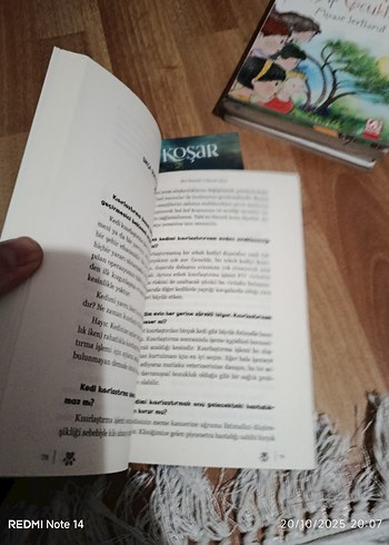 Ben Pamuk! - Kedilere Dair Her Şey - Görsel 3