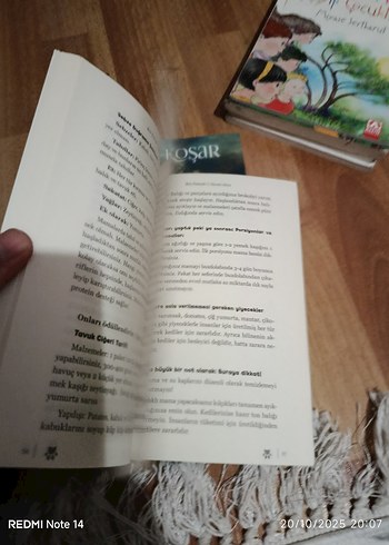 Ben Pamuk! - Kedilere Dair Her Şey - Görsel 7