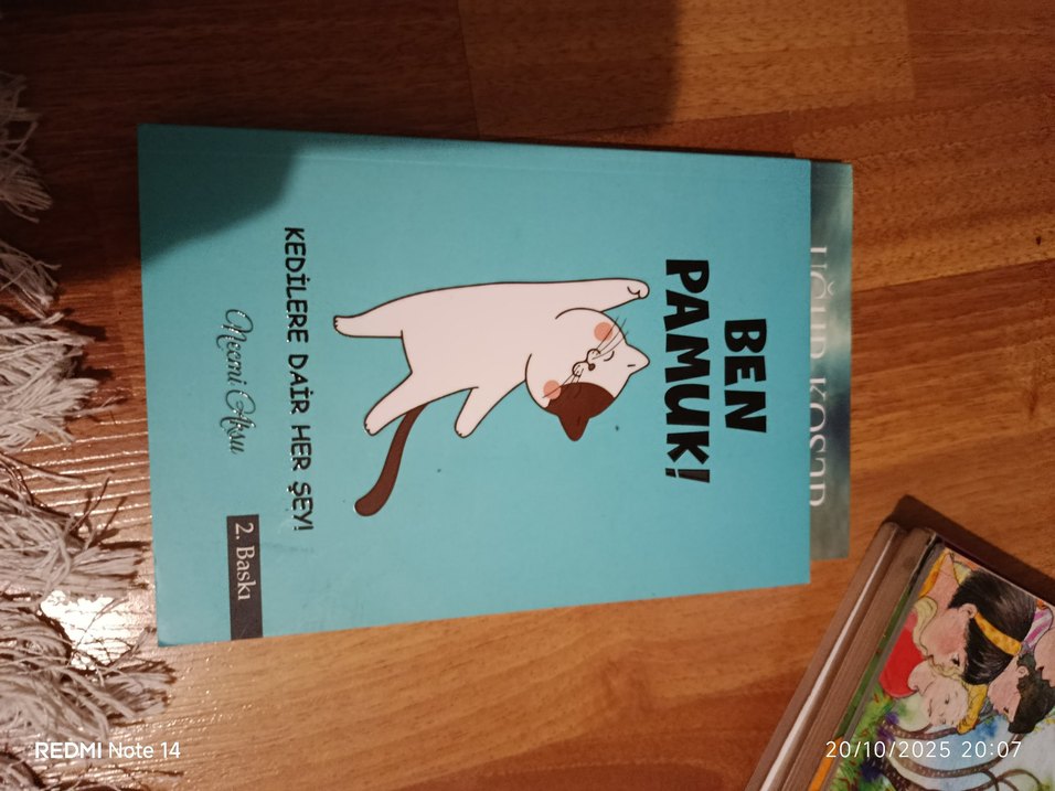 Ben Pamuk! - Kedilere Dair Her Şey - Görsel 2