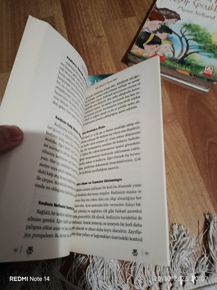 Ben Pamuk! - Kedilere Dair Her Şey - Görsel 5