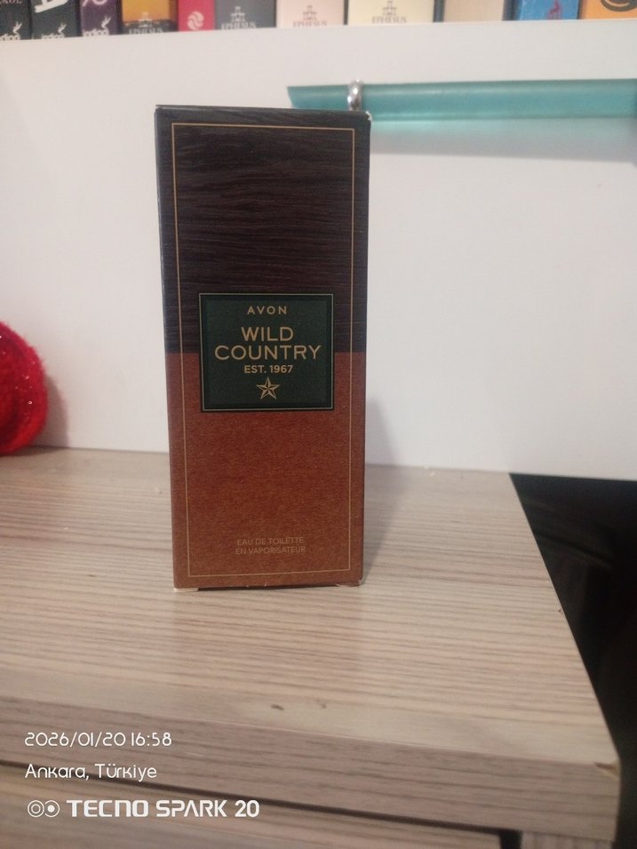 Avon Wild Country Erkek Parfümü 100 ml - Görsel 3