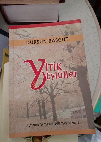 Dursun Başgüt - Sırt Yitik Eylüller Roman