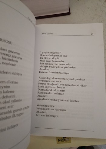 Beden Renk Dursun Başgüt - Sırt Yitik Eylüller Roman