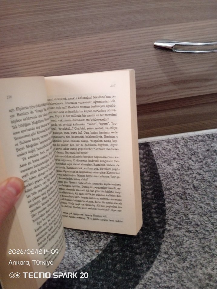 Elif Şafak - Aşk Romanı - Görsel 4