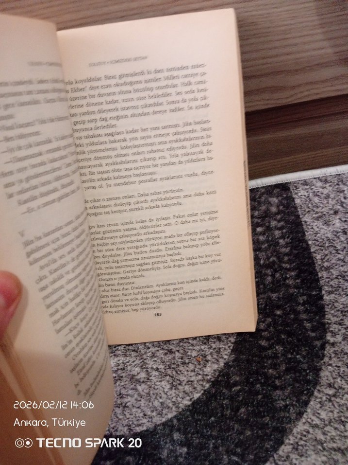 İçimizdeki Şeytan - Tolstoy - Görsel 3