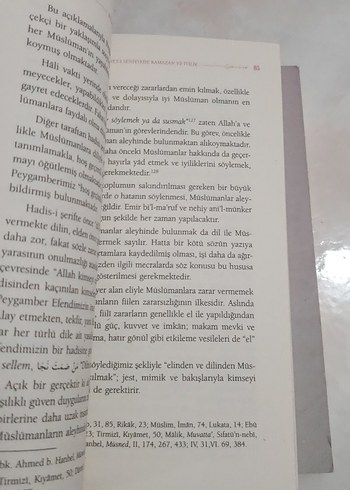 Beden Renk İyilik Ayı Ramazan - Prof. Dr. İsmail Lütfi Çakan