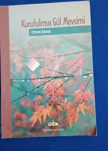 Kurutulmuş Gül Mevsimi - Ethem Baran