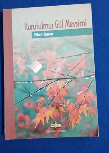 Kurutulmuş Gül Mevsimi - Ethem Baran