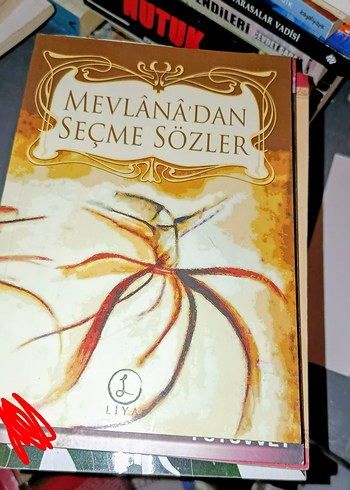 Mevlana'dan Seçme Sözler Kitabı