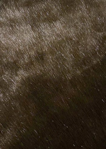 Parlak Kahverengi Bohem Halı - Görsel 2