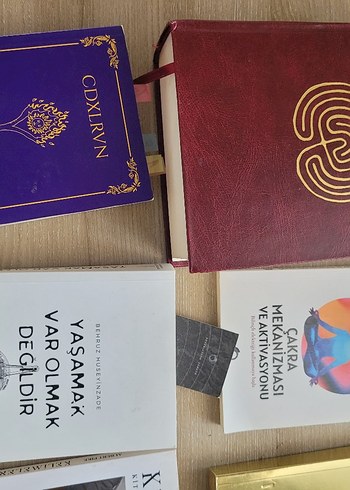  Beden Behruz Hüseyinzade kitaplari
