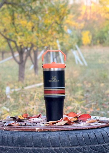 Stanley Pembe Kapaklı Çocuk Termosu - Görsel 3