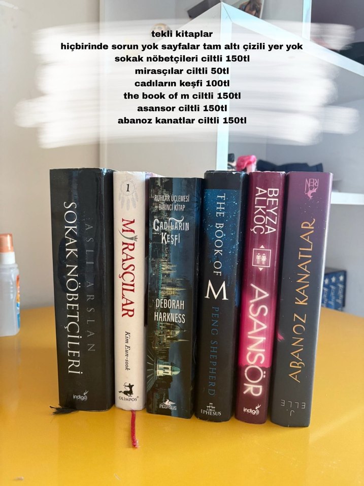 Roman Kitap - Görsel 3
