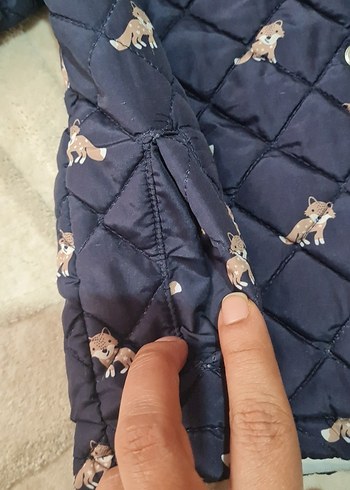 24-36 Ay Beden mavi Renk Kapüşonlu, Desenli Erkek Çocuk Mont