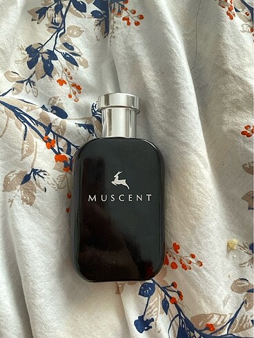 MUSCENT N208 İDOLL 50 ml