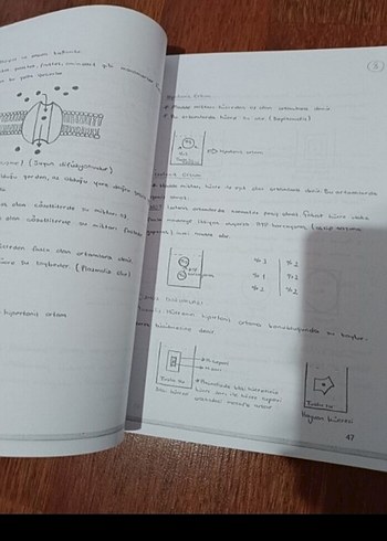 Biyoloji Ders Notları Föy 1 ve 2 - Görsel 2