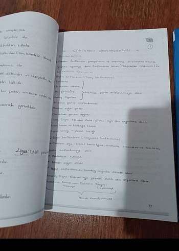 Biyoloji Ders Notları Föy 1 ve 2 - Görsel 3