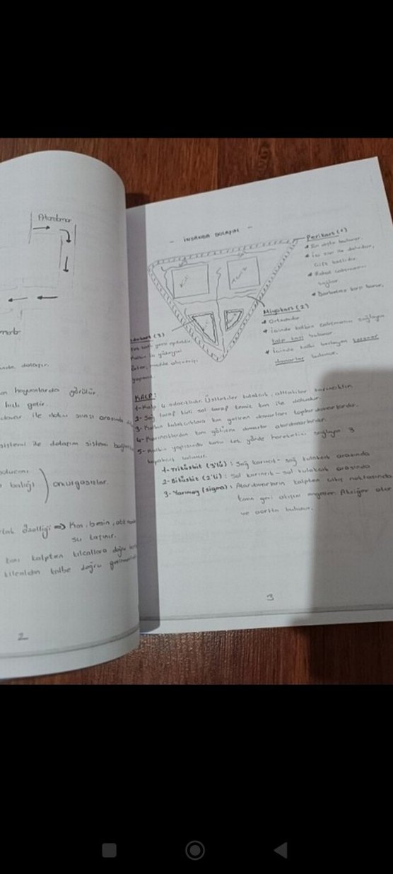 Biyoloji Ders Notları Föy 1 ve 2 - Görsel 5