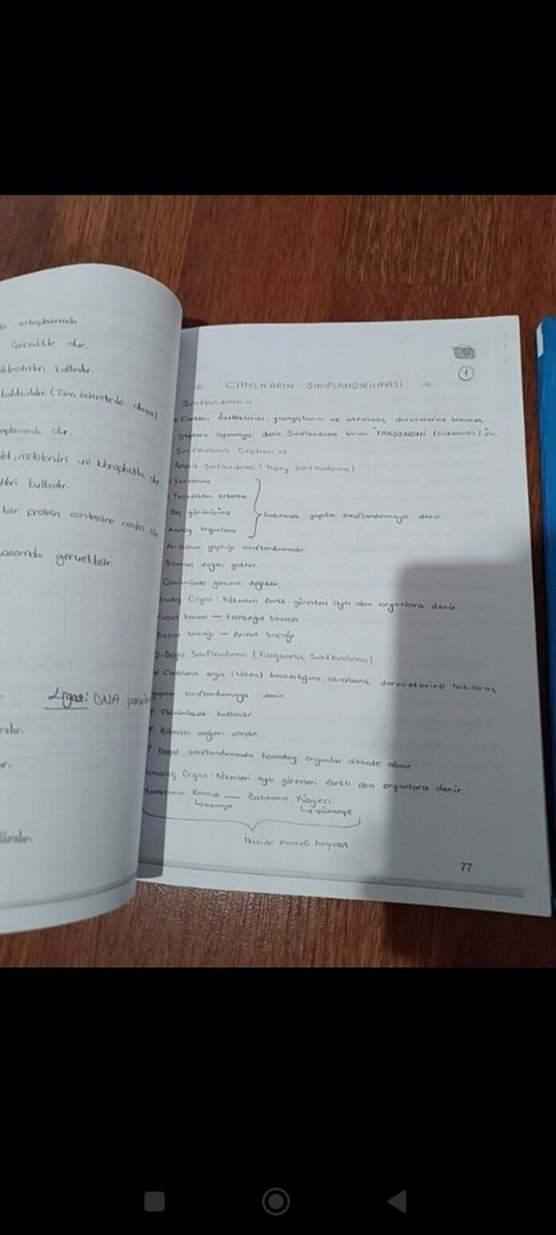 Biyoloji Ders Notları Föy 1 ve 2 - Görsel 3