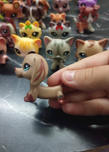 Lps Minişler