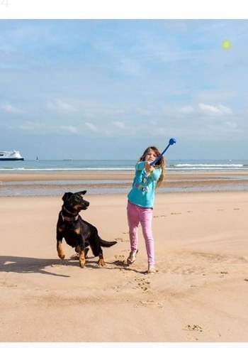 Köpek Top Atma Oyuncağı Tenis Topu Fırlatıcı - Görsel 5