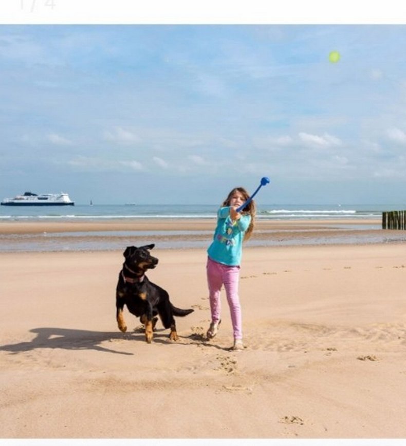 Köpek Top Atma Oyuncağı Tenis Topu Fırlatıcı - Görsel 5