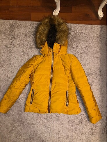 Zara mont hardal rengi