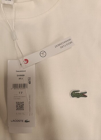 Lacoste kazak