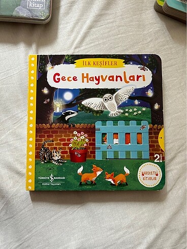 Gece Hayvanları-Hareketli Kitap
