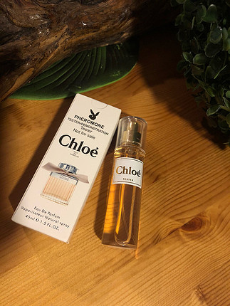 Chloe signature tester bayan parfümü