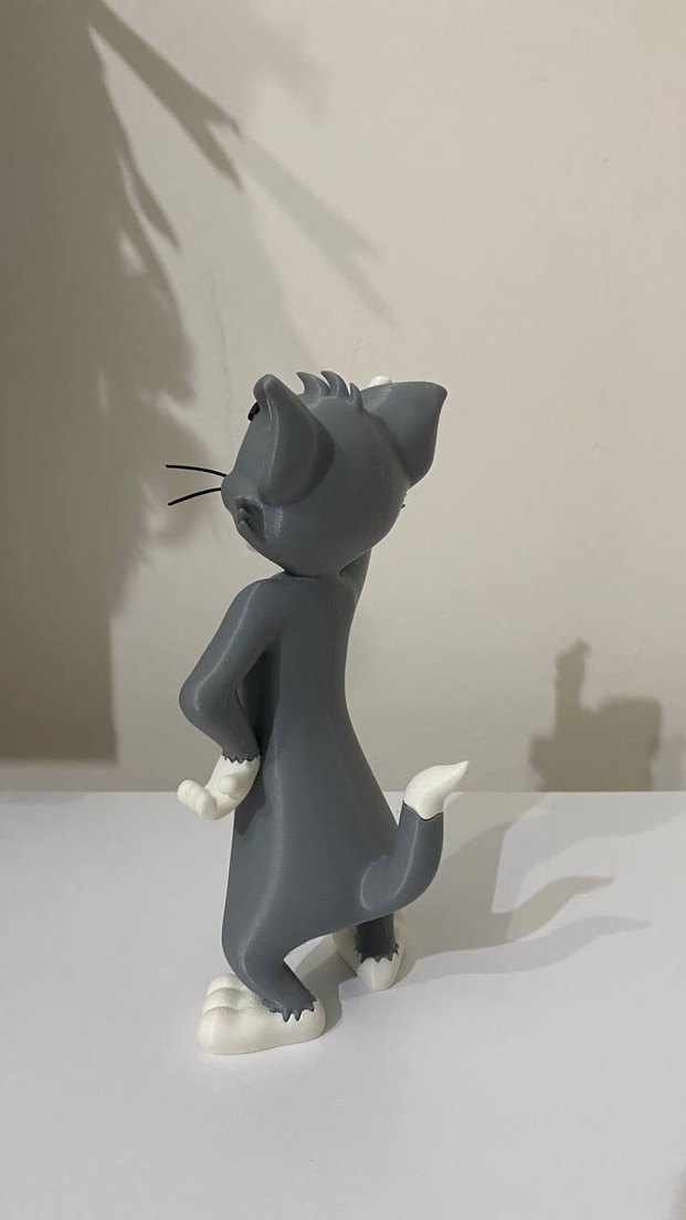 TOM 3D RENKLİ FİGÜRÜ - Görsel 5