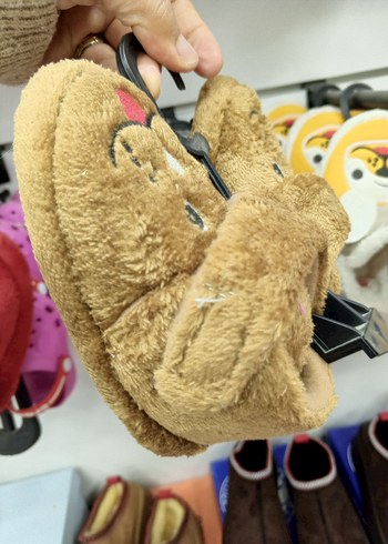 cırtlı kahverengi panduf - Görsel 2