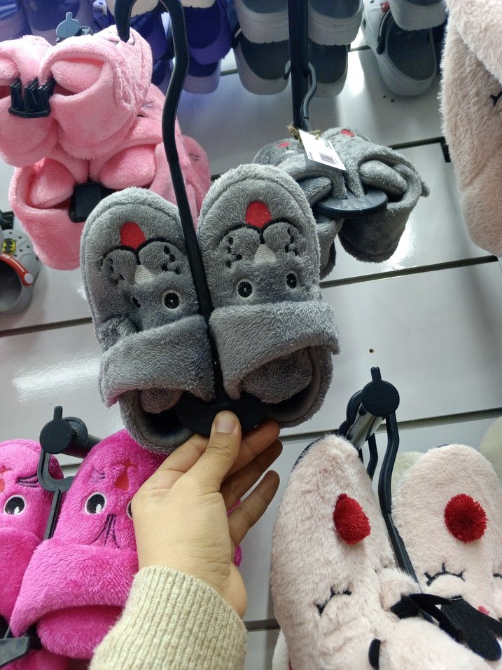 Gri cırtlı panduf - Görsel 2