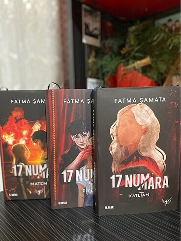 17 numara serisi kitap