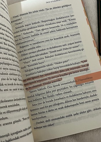 Ökse Çtunun Altında - Chloe Liese - Görsel 3