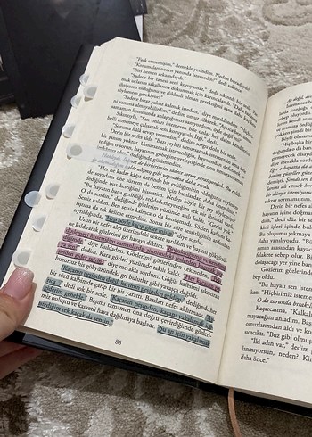  Beden Ardıç kutulu