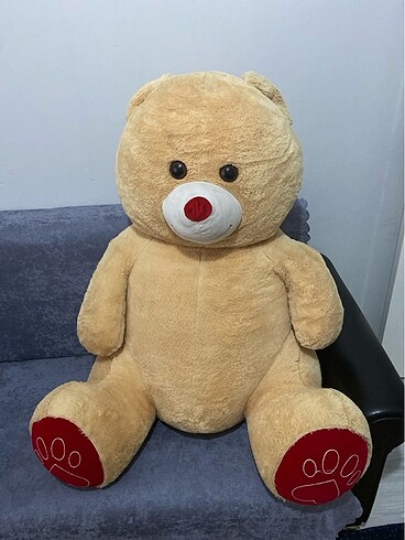 Peluş ayı