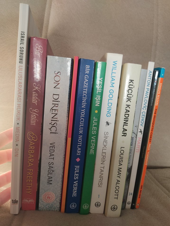 Çeşitli Roman Seti - Görsel 2