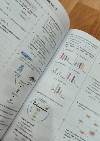 Beden 10. Sınıf Biyoloji Soru Bankası - Yeni Nesil Testler