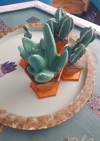 Turkuaz Pastel Saksılı Dekoratif Sukulentler - Görsel 3