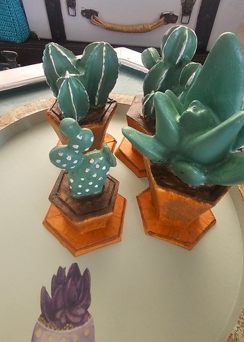 Turkuaz Pastel Saksılı Dekoratif Sukulentler - Görsel 2