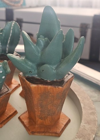 Turkuaz Pastel Saksılı Dekoratif Sukulentler - Görsel 4